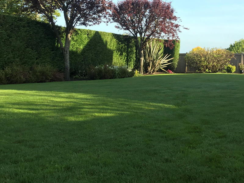 Landscaping Services Image 14