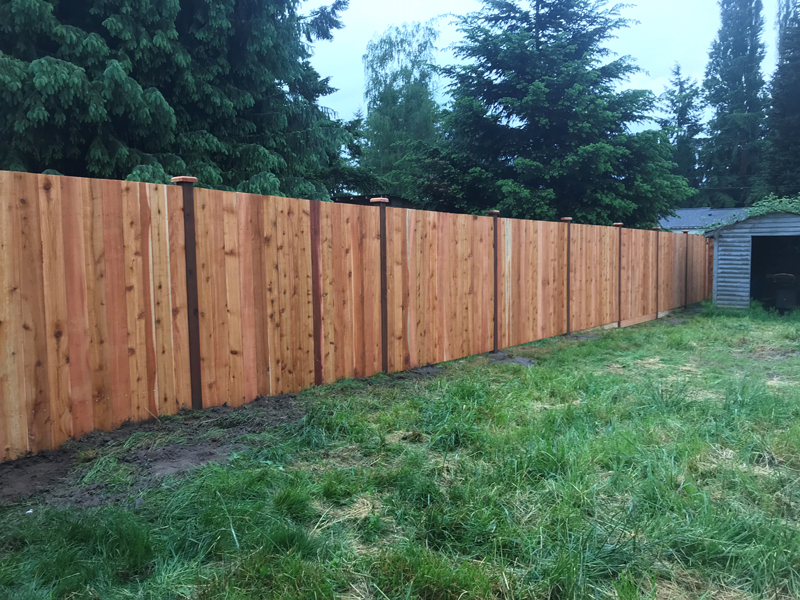 Landscaping Services Image 8